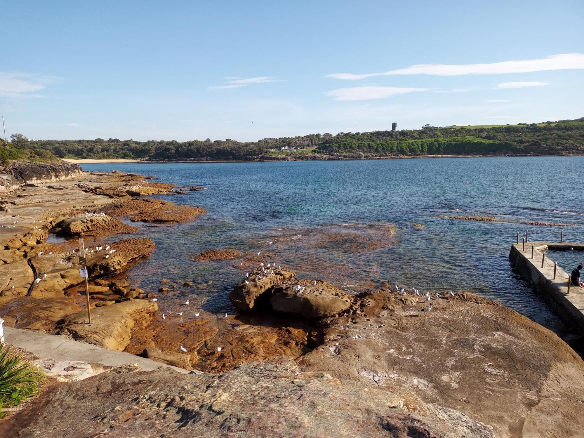 Brand New Vip Luxury 5/5 Star Beachside Escape Sydney Zewnętrze zdjęcie