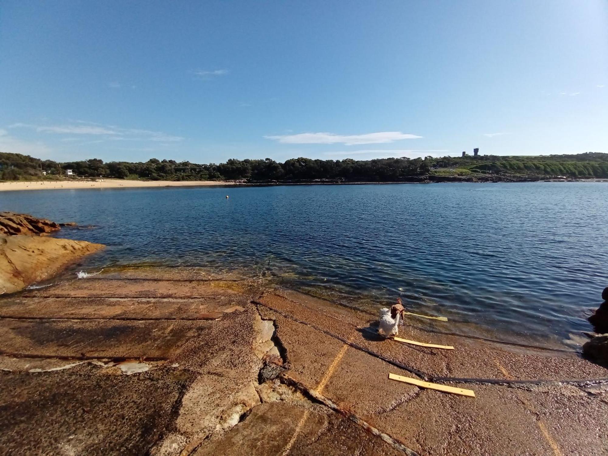 Brand New Vip Luxury 5/5 Star Beachside Escape Sydney Zewnętrze zdjęcie